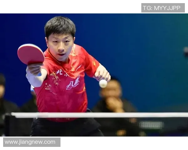 西安乒乓球队的节奏与激情探讨乒乓球运动的魅力与发展